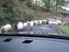 Who has the right-of-way?